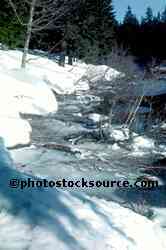 Frozen Lake Shore