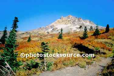Mt. Hood Fall Colors