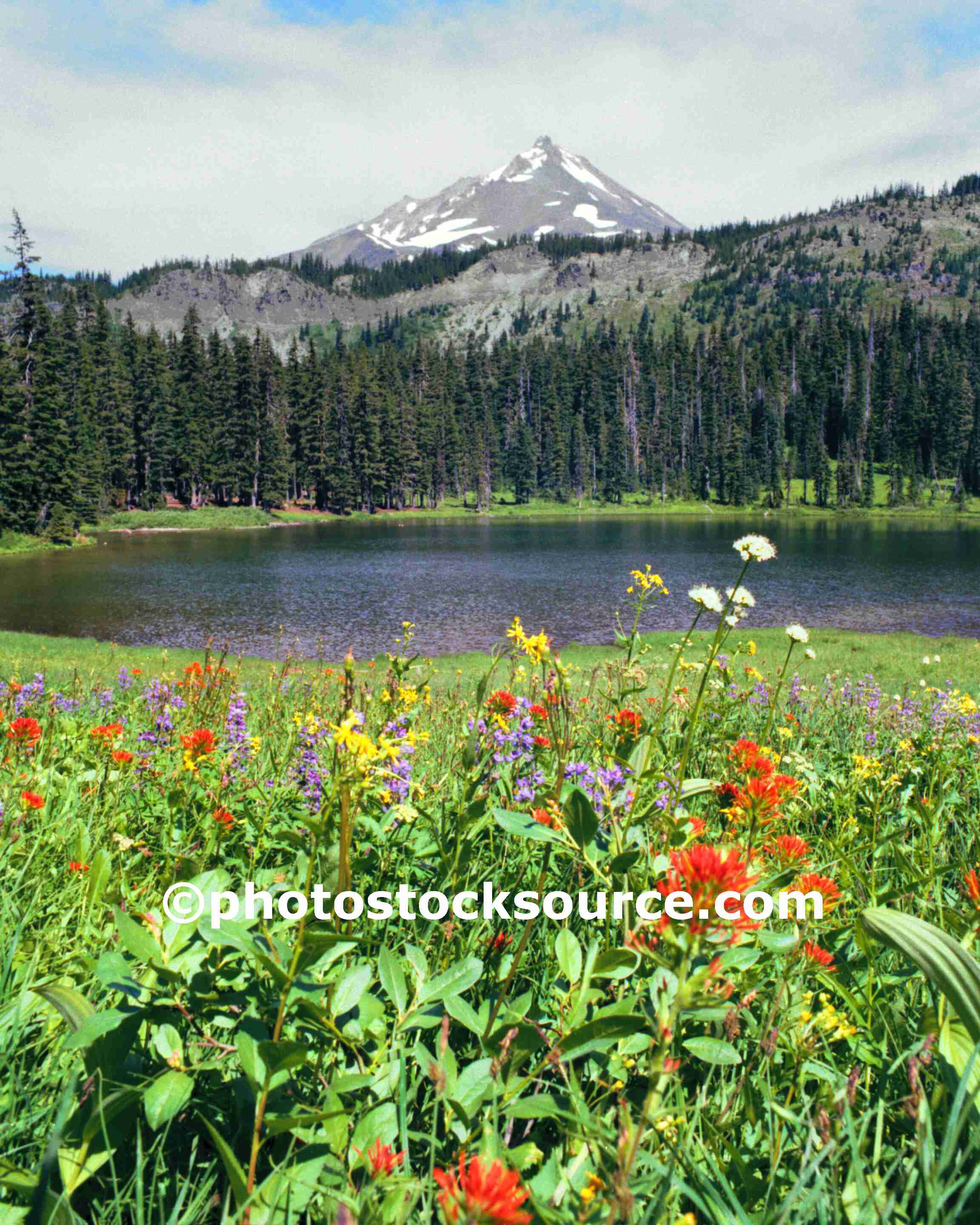 Note Card Image