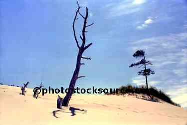 Dune Island