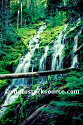 Upper Proxy Falls