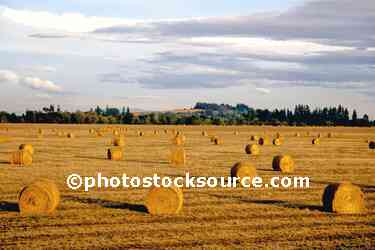 Hay Bales