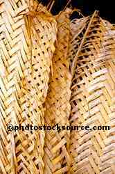 Woven Palm Screen