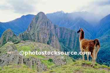 Llama and Ruins