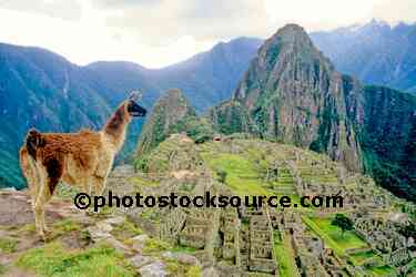 Llama and Ruins