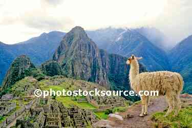 Llama and Ruins