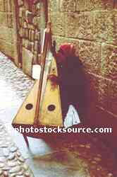 Harp Player