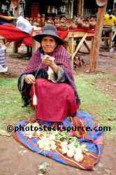Hand Spinning Wool