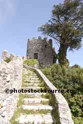 Castle Wall Steps