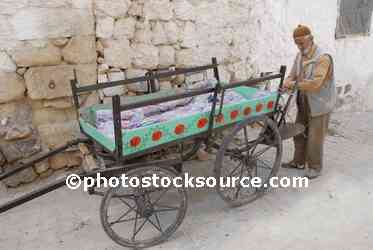 Old Man and Wagon