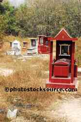 Chinese Cemetery