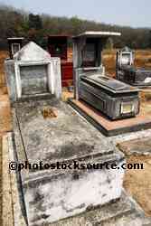 Chinese Cemetery