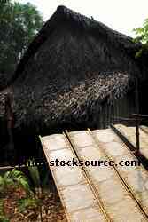 Drying Rice Paper