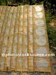 Drying Rice Paper