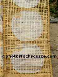 Drying Rice Paper