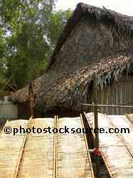 Drying Rice Paper
