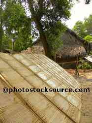 Drying Rice Paper