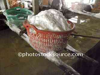 Salt Factory