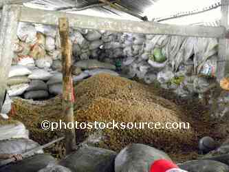 Salt Factory