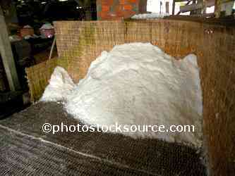 Salt Factory