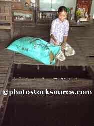 Woman at Fish Farm