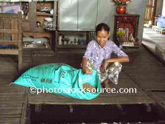 Woman at Fish Farm