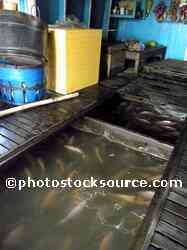 Fish Farm Beneath Boat