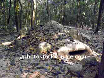 Machine Gun Nest
