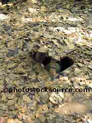 Cu Chi Tunnel Entrance