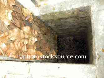 Cu Chi Tunnel Booby Trap