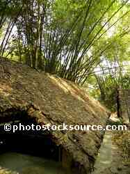 Jungle Bamboo Hut
