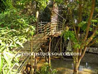 Bamboo Bridge
