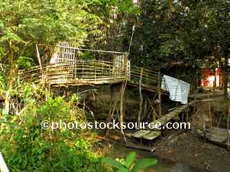 Bamboo Bridge