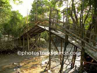Bamboo Bridge