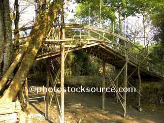 Bamboo Bridge