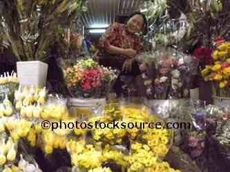 Flower Seller
