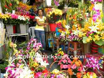 Flower Seller