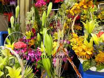 Flowers for Sale