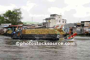 Sampan Hauling Freight