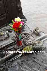 Flowers on Boat