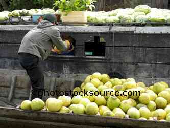 Boat of Papayas