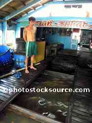 Fish Farm Beneath Boat