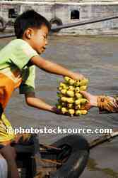 Boy With Bananas