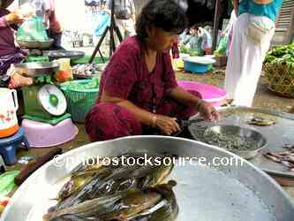 Woman Selling Fish