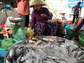 Woman Selling Fish