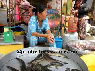 Woman Selling Fish