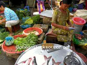 Woman Selling Fish