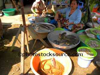 Woman Selling Fish
