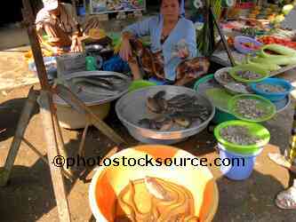 Woman Selling Fish