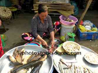 Woman Selling Fish